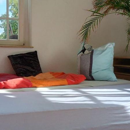 Forrest Apartments In Freiberg Min Stay 2 Nights Max Number Of Guest 1 Aprt 1 Eksteriør bilde
