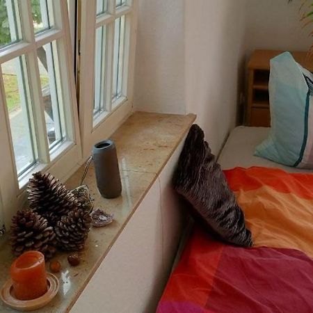 Forrest Apartments In Freiberg Min Stay 2 Nights Max Number Of Guest 1 Aprt 1 Eksteriør bilde