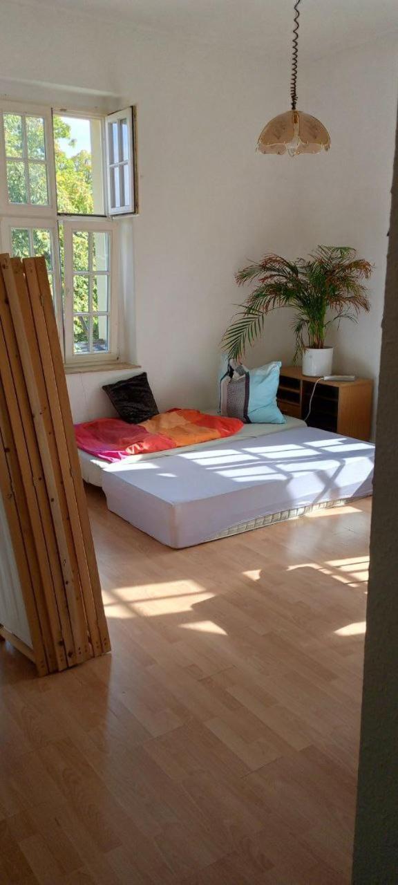 Forrest Apartments In Freiberg Min Stay 2 Nights Max Number Of Guest 1 Aprt 1 Eksteriør bilde