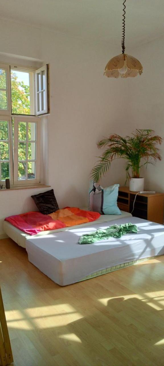 Forrest Apartments In Freiberg Min Stay 2 Nights Max Number Of Guest 1 Aprt 1 Eksteriør bilde