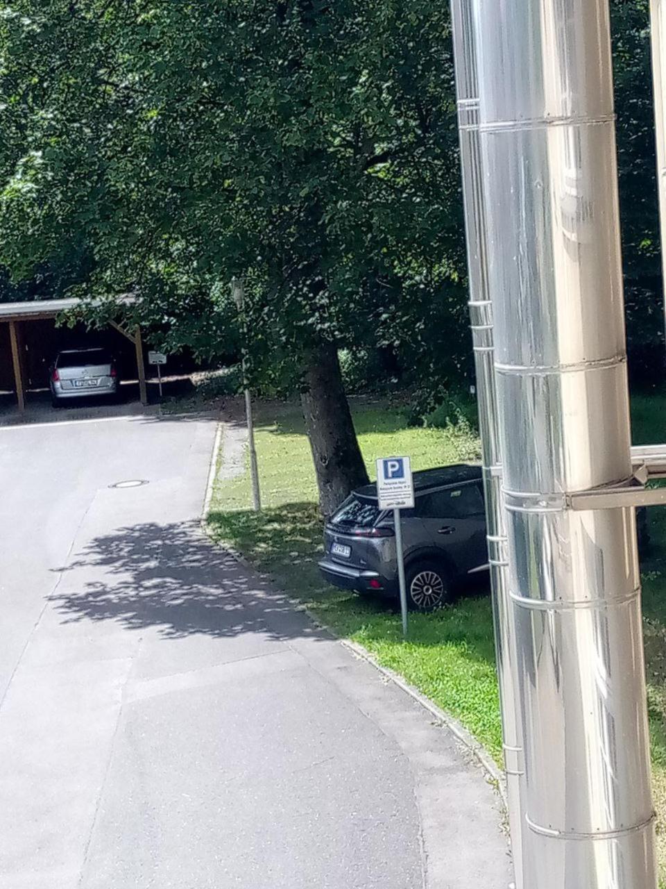 Forrest Apartments In Freiberg Min Stay 2 Nights Max Number Of Guest 1 Aprt 1 Eksteriør bilde